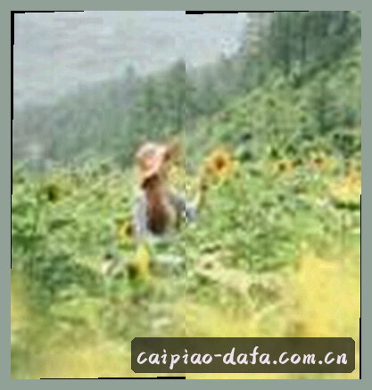 王强